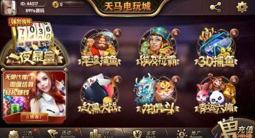 一夜暴富天马电玩授权工具