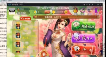 荟聚牌苑湖南房卡麻将游戏搭建视频教程