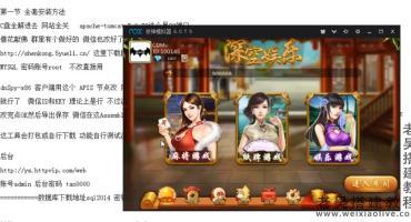 深空游戏架设视频教程（深空源码二开搭建）