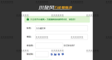 小旋风万能x9完美破解版详细使用教程（网站SEO优化必备工具）