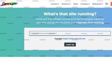如何判断检测网站域名所使用的操作系统（全面分析检测网站详细信息）