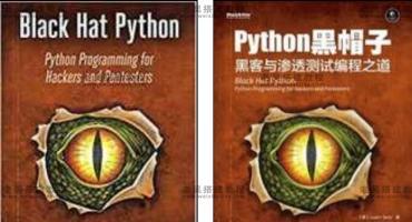 Python黑帽子——黑客与渗透测试编程之道(电子书)