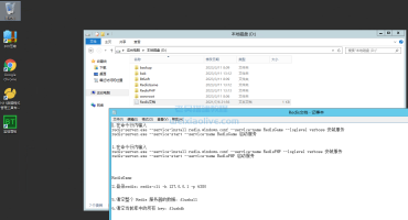 RedisGame、RedisPHP安装包及安装教程