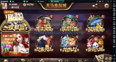 一夜暴富天马电玩微信登陆修改教程