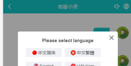 二十种语言外贸版多商户无限坐席h5客服系统安装配置教程