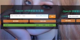 OpenAI 账户ChatGPT 余额在线查询单页html源码