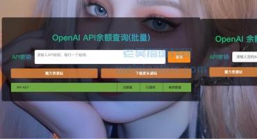 OpenAI 账户ChatGPT 余额在线查询单页html源码