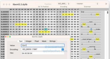 Mac电脑十六进制编辑器 Synalyze It! Pro 1.32 for Mac 