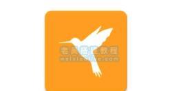 安卓手机抓包工具推荐（Httpcanary不闪退版）