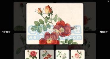 使用 HTML、CSS 和 JavaScript 创建交互式图像库灯箱