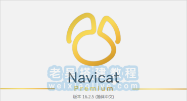 数据库管理工具Navicat Premium 17.0.13绿色window中文版