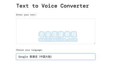 创建一个文字转语音翻译程序