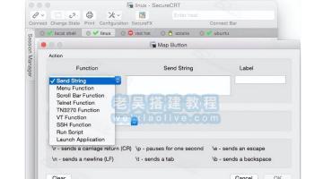 SSH终端仿真工具SecureCRT for Mac 9.5 免激活版