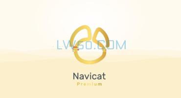 数据库管理工具Navicat Premium 17.2.4中文版绿色版