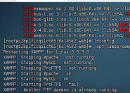 linux系统xampp安装教程（附xampp-linux-x64-5.6.3-0-installer.run离线文件）