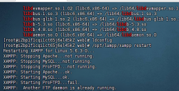 linux系统xampp安装教程（附xampp-linux-x64-5.6.3-0-installer.run离线文件）
