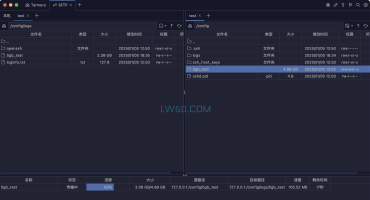 SSH客户端管理工具Termora