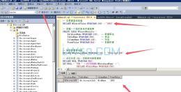 SQL Server 数据库查询脚本（SQL Server查找数据）