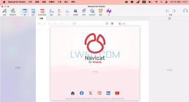 Oracle数据库系统管理工具Navicat for Oracle for Mac 17.1.9 中文版