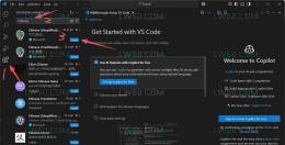 Visual Studio Code（VS Code）汉化教程