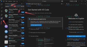 Visual Studio Code（VS Code）汉化教程