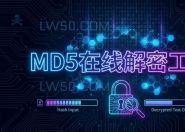 MD5在线解密工具