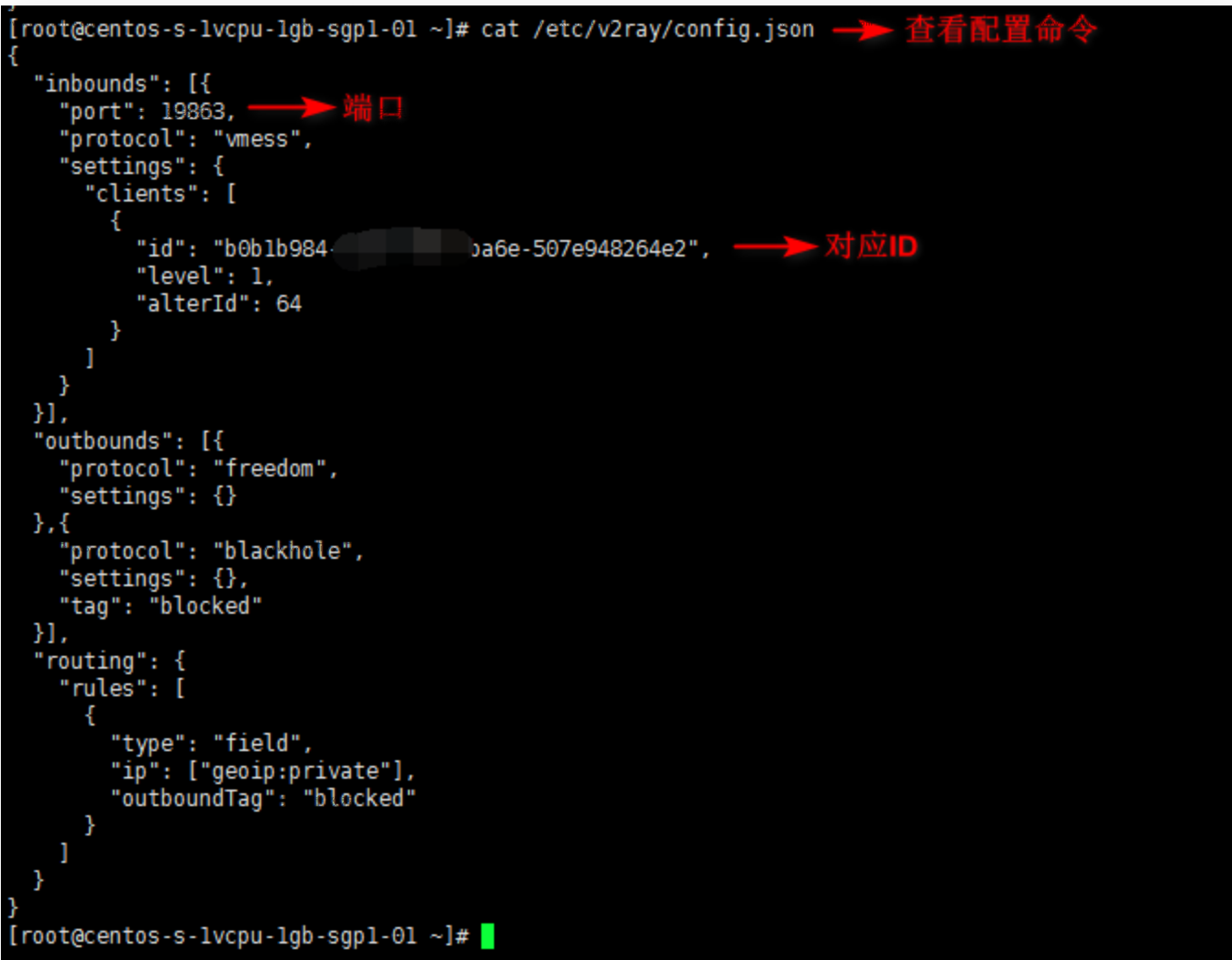 2022年V2ray详细搭建视频教程  第3张