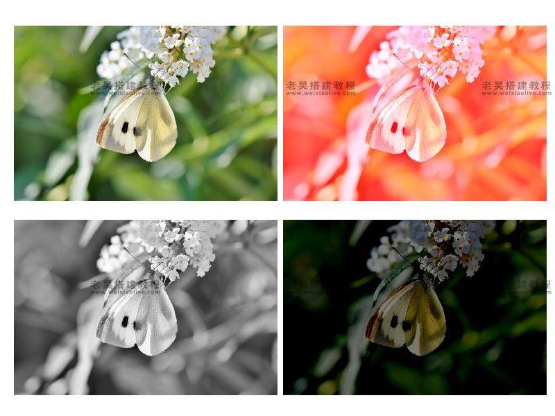 使用GD库在PHP中处理图像  第5张