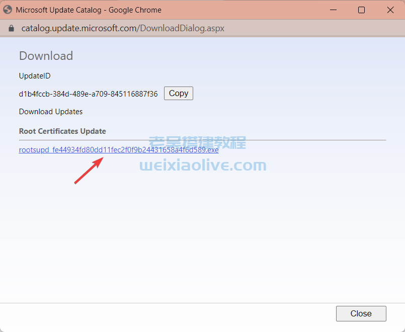 修复 Windows 中的 0x800B0109 错误并解锁更新解决方案 第7张 修复 Windows 中的 0x800B0109 错误并解锁更新解决方案 第7张