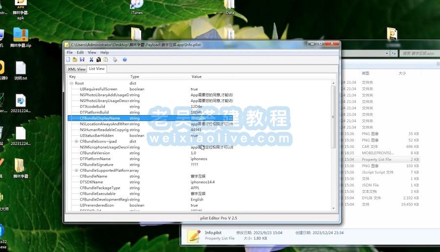 创胜系列苹果端ipa通用修改教程  第2张