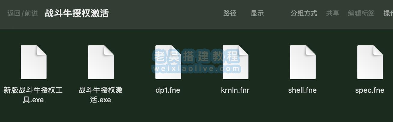 新版战斗牛授权激活工具  第3张